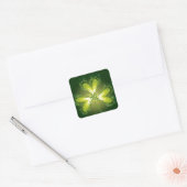 Sint Patrick's Day Shamrock Lucky Clover Leaf Vierkante Sticker (Envelop)