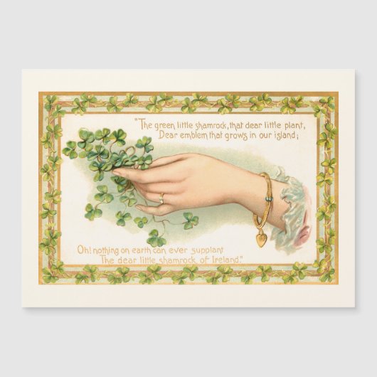 Sint Patrick's Day Shamrocks (Voorkant)