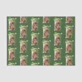 Sint-Patrick's Day Weefselpapier Tissuepapier (Voorkant)