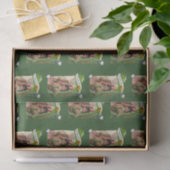 Sint-Patrick's Day Weefselpapier Tissuepapier (Geschenk)