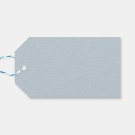 Sint-Pietersbasiliek in Vaticaanstad Cadeaulabel (Achterkant Horizontaal)