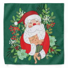 Sinterklaas en kat