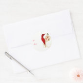 Sinterklaas Kerst Gift Label Stickers (Envelop)