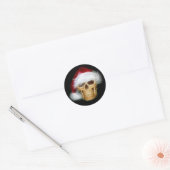 Sinterklaas Ronde Sticker (Envelop)