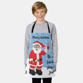 Sinterklaas van kleur schort (Gedragen)