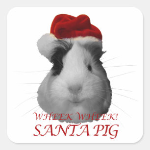 Sinterklaas Varken Cavia Kerst Feestdagen Vierkante Sticker