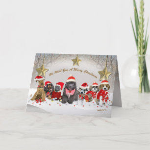 Sinterklankers genieten van feestdagen kaart