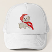Sinterklankkoppeling / Bichon-mix Trucker Pet (Voorkant)