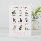 Sinterkletters met kleine helpers Cat Reindeer Feestdagenkaart (Staand voorkant)