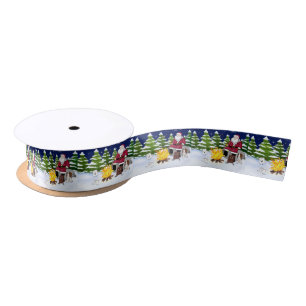 Sinterman met S'mores en Cavalier King Charles Lint