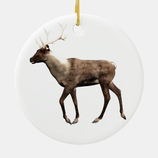 Sinterrendier Keramisch Ornament (Achterkant)