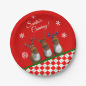 Sinters Reindeer Trio Red Party Bord (Voorkant)