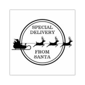 Sinterslee met rendier - speciale aflevering rubberstempel (Afrduk)