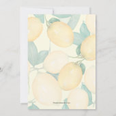 Sip en zie Babyschoenen (Achterkant)