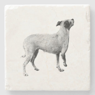 Sip-pauze: omhoog kijken stenen onderzetter