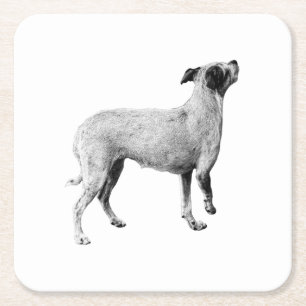 Sip-pauze: omhoog kijken vierkante kartonnen onderzetter