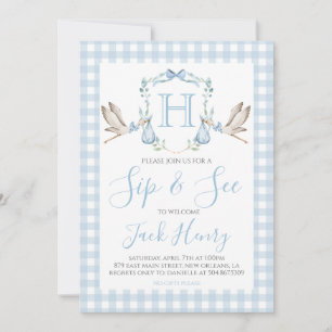 Sip & See Boy Stork Preppy Blue Gingham Kaart