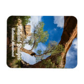 Sipapu Bridge, Natural Bridges National Monument Magneet (Horizontaal)