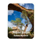 Sipapu Bridge, Natural Bridges National Monument Magneet (Verticaal)