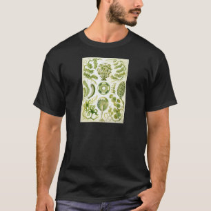 Siphoneae Seaweed en Algae van Ernst Haeckel T-shirt
