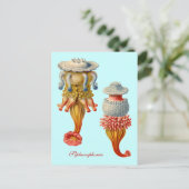 Siphonophorae - Carte postale de méduses (Debout devant)