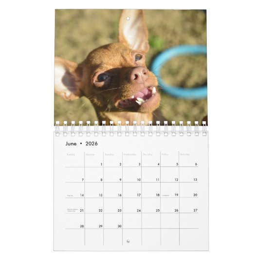 Sir Bardsley Wall Calendar 2020 Kalender (Jun 2026)