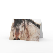 Sir Behr Blank Kaart