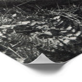 Sir Edward Elgar Poster (Hoek)