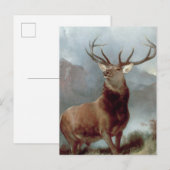 Sir Edwin Landseer | Monarch van de Glen, 1851 Briefkaart (Voorkant / Achterkant)