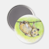 Sir Ham Magneet (Voorkant / Achterkant)