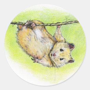 Sir Ham Ronde Sticker