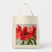 Sir Jon's 4 Red Lions Amaryllis Grocery Canvas tas (Voorkant)