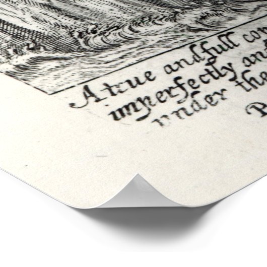 Sir Thomas Browne, 1645 Poster (Hoek)