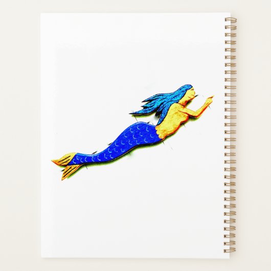 sirène à queue bleue (Dos)