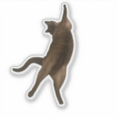 SirPercyPaws - Funny Pose Cat Sticker (Voorkant)