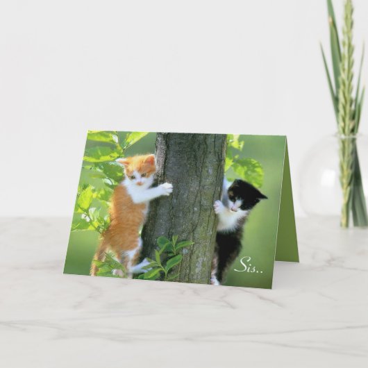 Sis, Bedankt om daar te zijn.. (Voorkant)