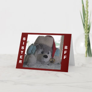 SISTE-DEZE POP ZEGT DAT SPECIALE CHRISTMAS WIST FEESTDAGEN KAART