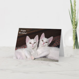 Sisterly Love Twins Cat Birthday Card Kaart