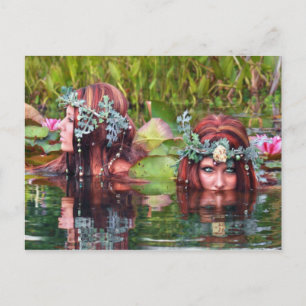 Sisters Collectors Briefkaart