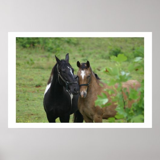 Sisters liefde poster (Voorkant)