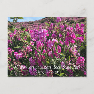 Sisters Rock State Park, Oregon Coast Briefkaart