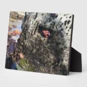 Sisters Rock State Park, Oregon Coast Fotoplaat (Zijkant)