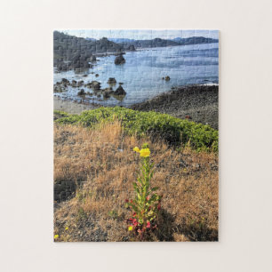 Sisters Rock State Park, Oregon Coast Legpuzzel