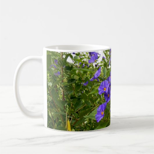 Sisyrinchium Angustifolium Mug (Gauche)