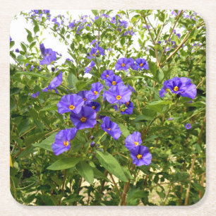 Sisyrinchium Angustifolium Paper Coaster Vierkante Kartonnen Onderzetter