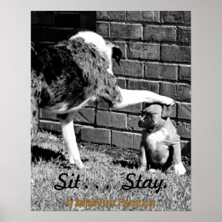 Sit- - - Séjour - - - Poster
