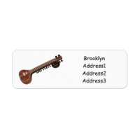 Sitar cartoon illustratie