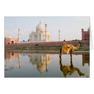 Site funéraire du temple mondialement célèbre Taj