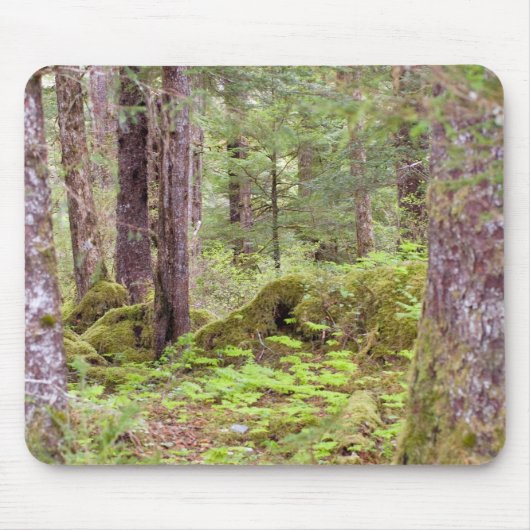 Sitka Forest Muismat (Voorkant)
