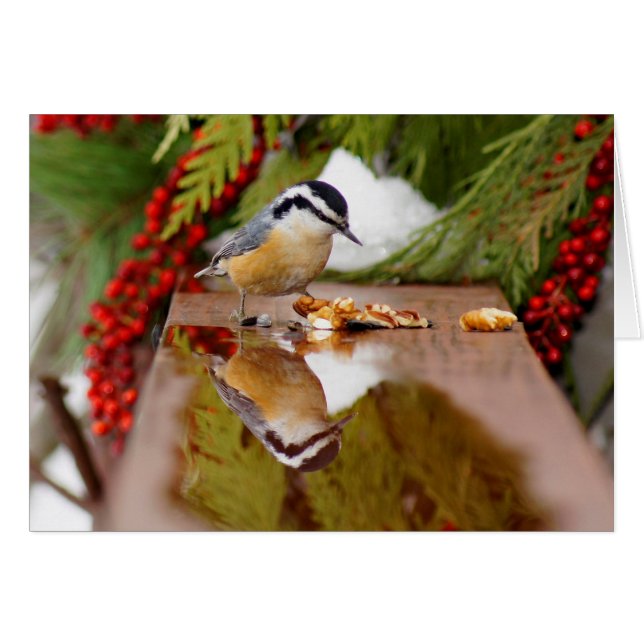 Sittelle à gorge rouge (Devant Horizontal)